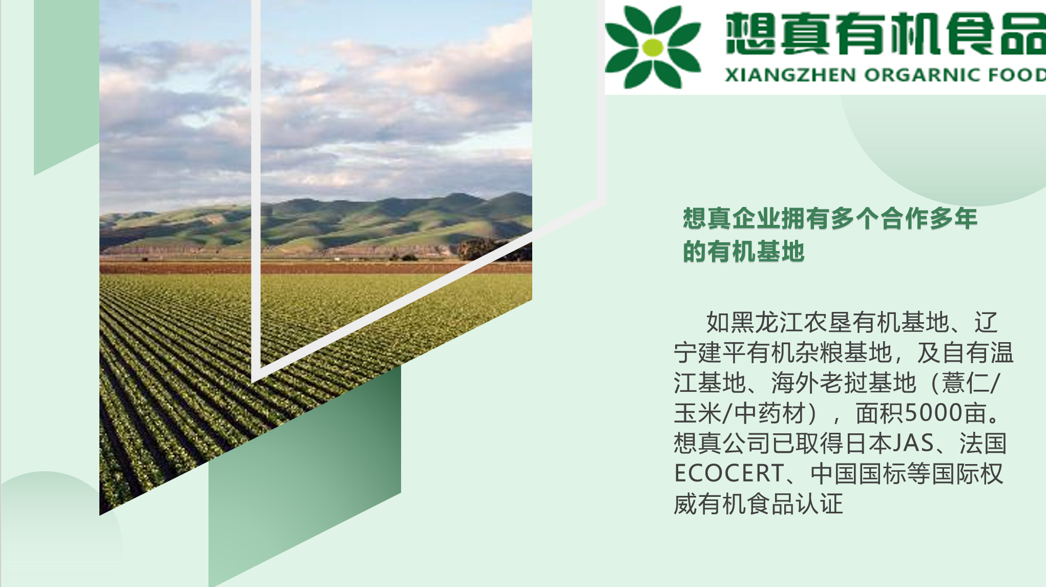 122c39b6-caf4-4656-9b41-642cf1766133.png